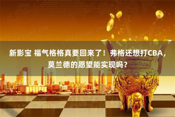 新影宝 福气格格真要回来了！弗格还想打CBA，莫兰德的愿望能实现吗？