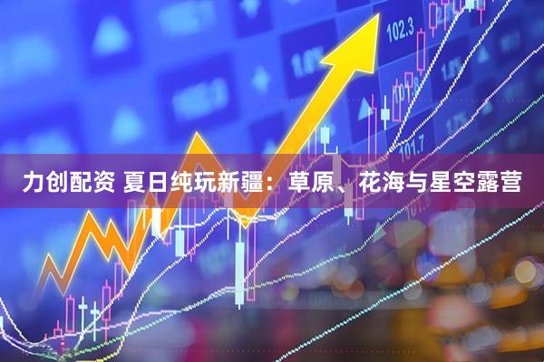 力创配资 夏日纯玩新疆：草原、花海与星空露营